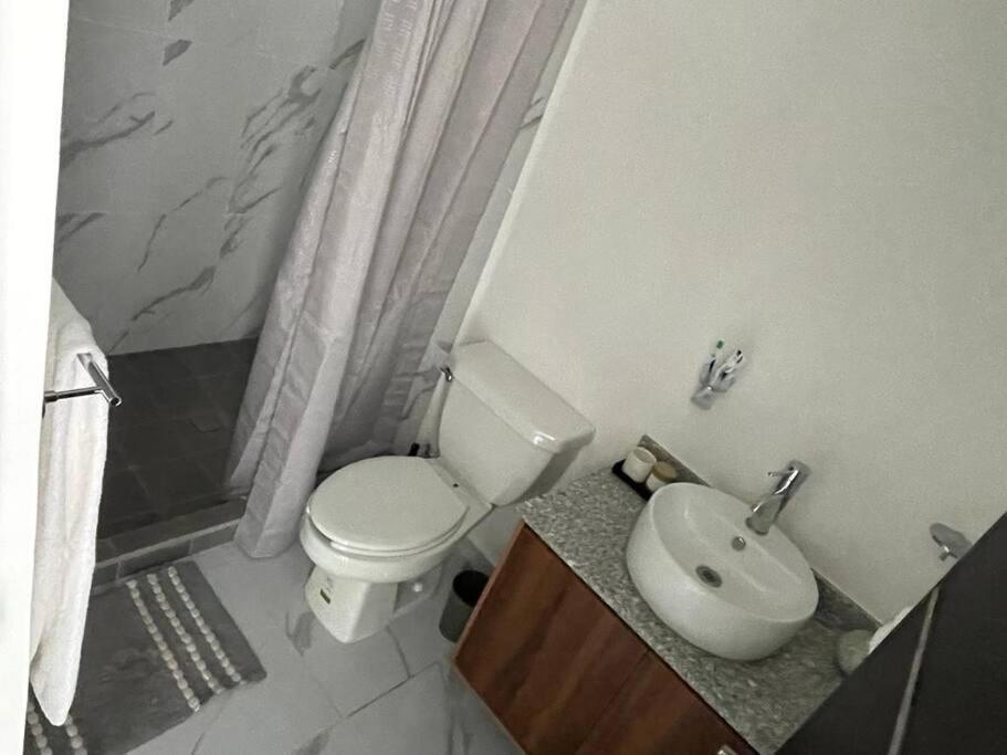Apartamento Lizard