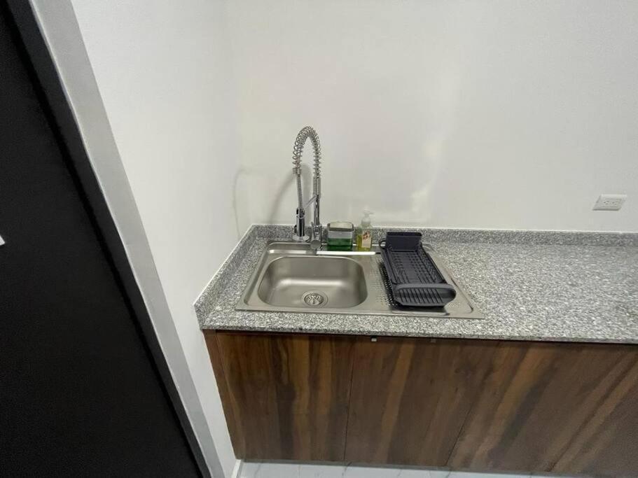 Apartamento Lizard
