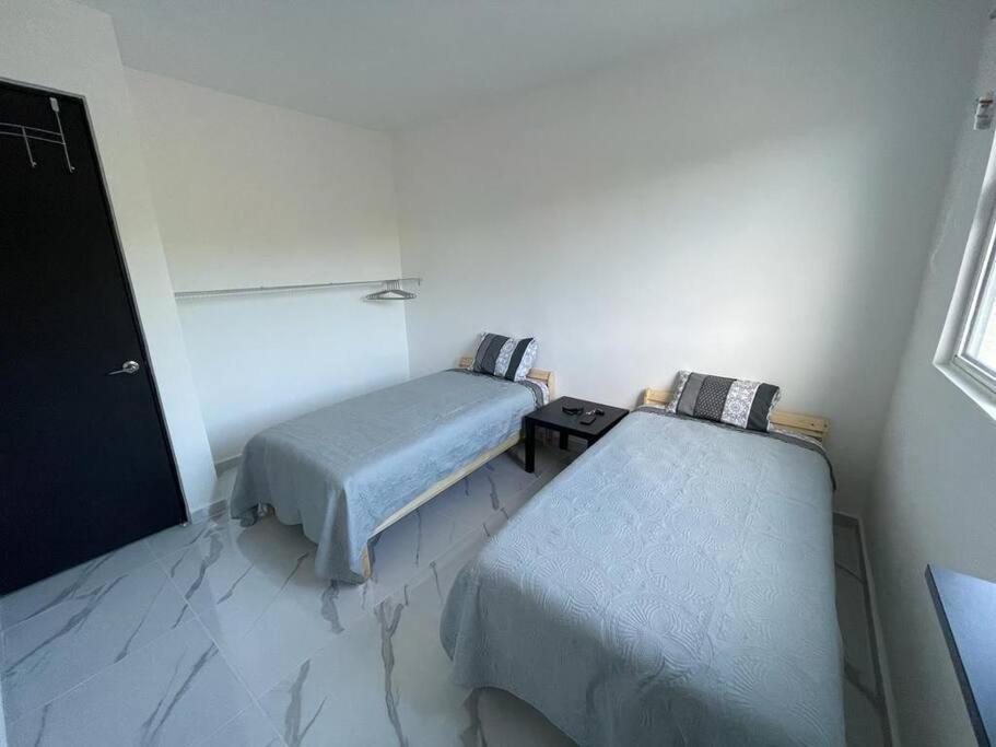Apartamento Lizard *